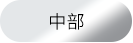 中部